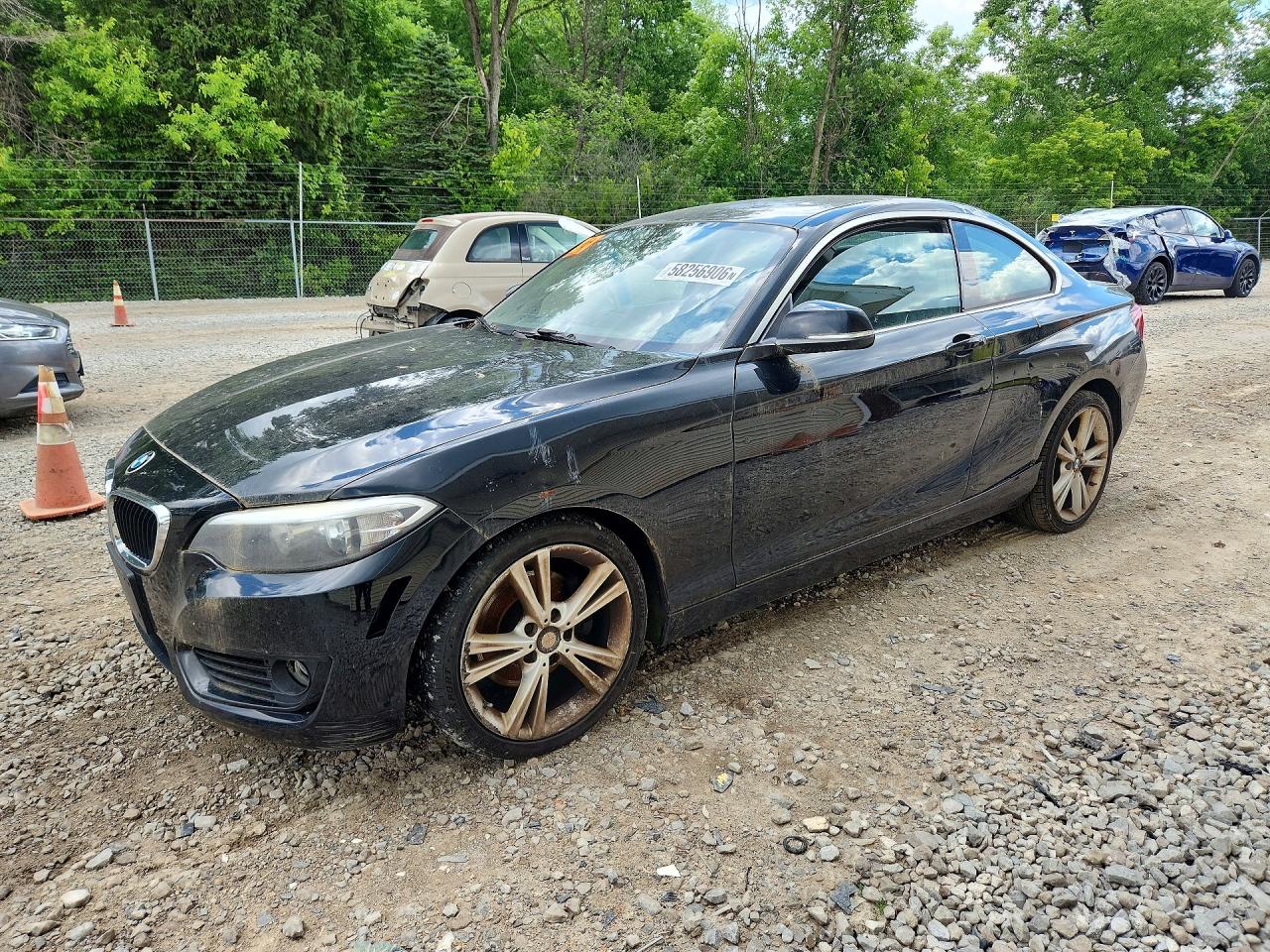 2015 BMW 2 Series 228i xDrive, VIN WBA1F7C53FVX96237 — Normal wear