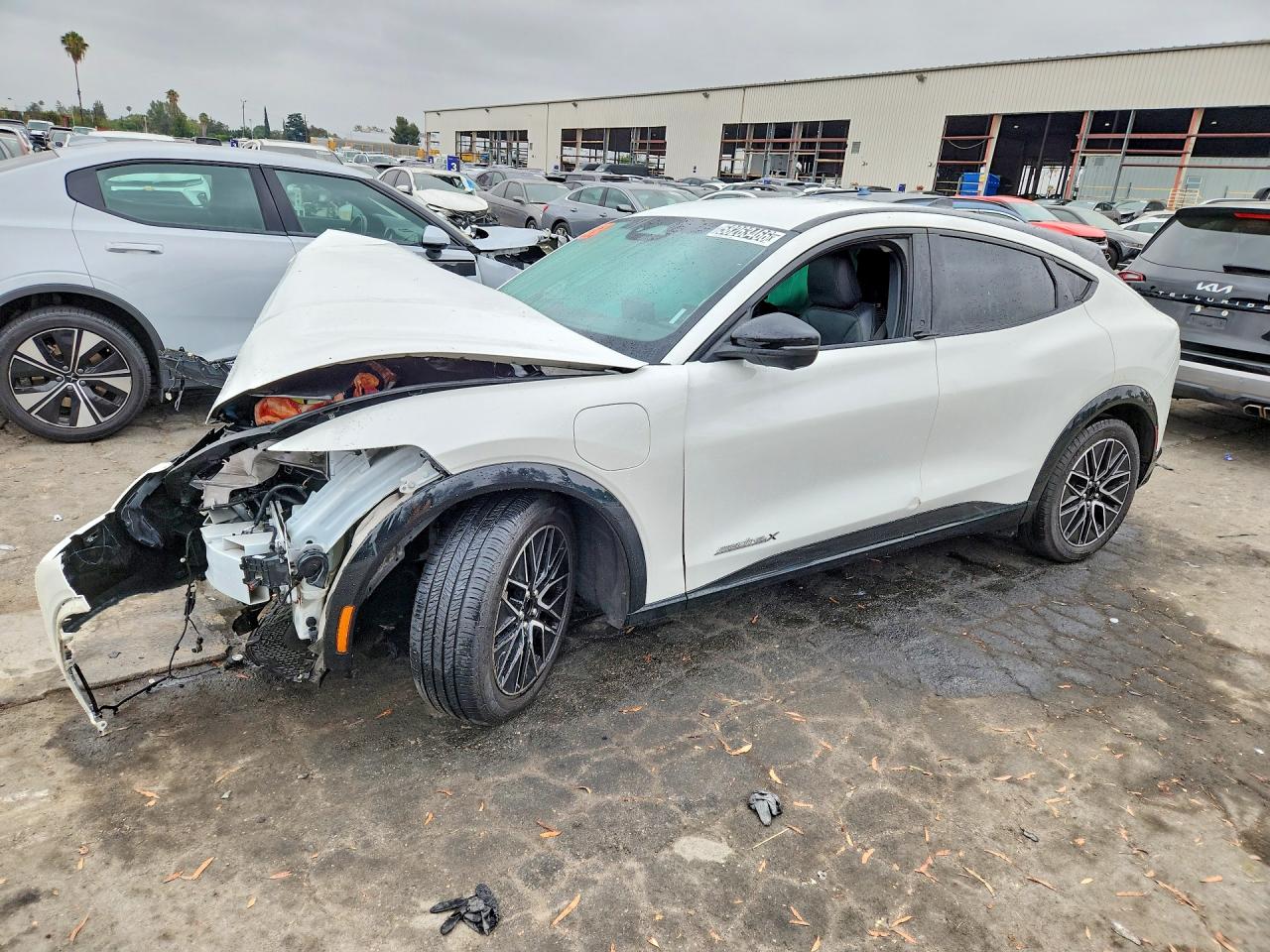 2024 Ford Mustang Mach-E Premium, VIN 3FMTK3SU2RMA04307 — Front end