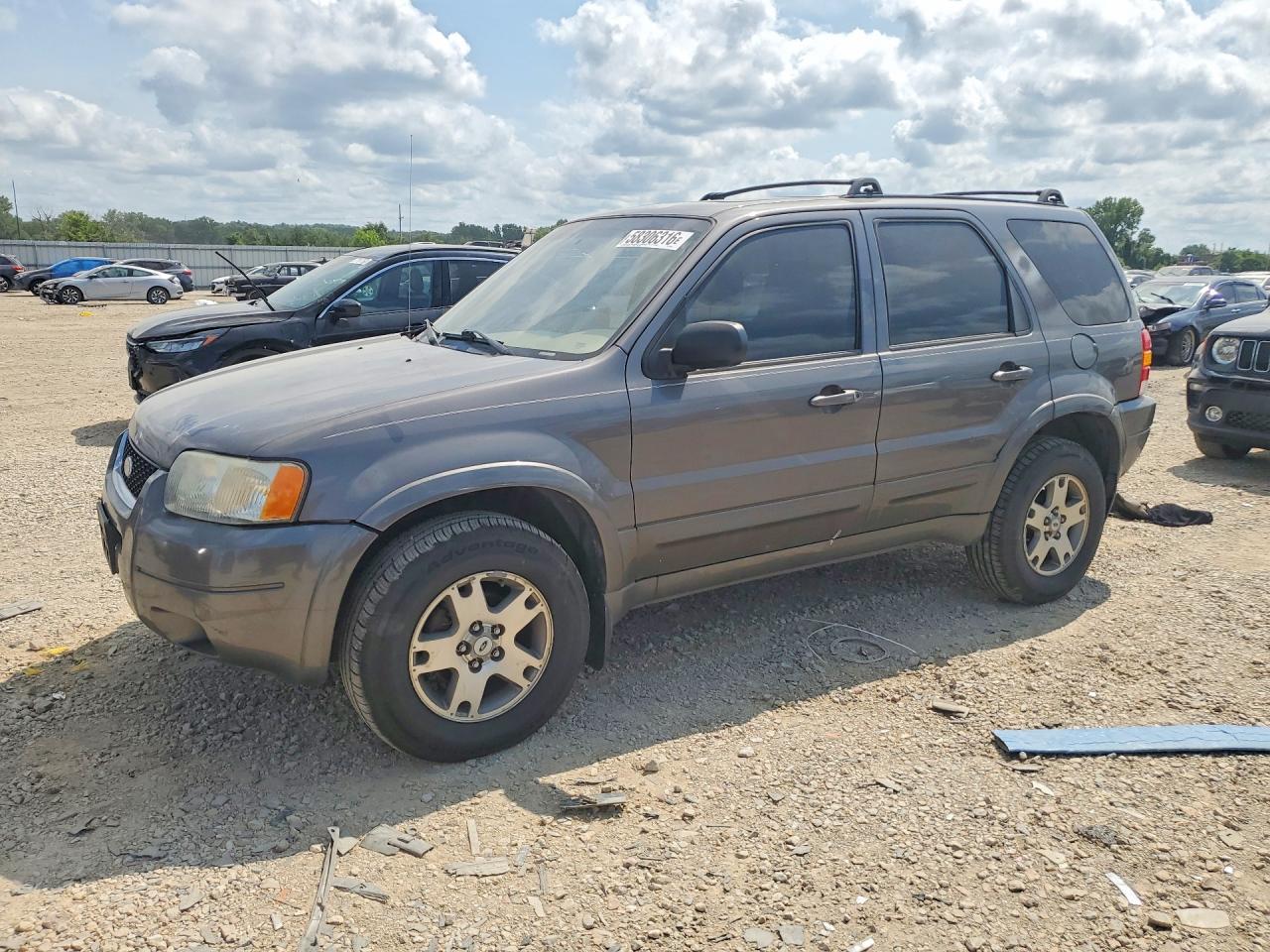 2003 Ford Escape Limited, VIN 1FMCU94193KE08316 — Перед