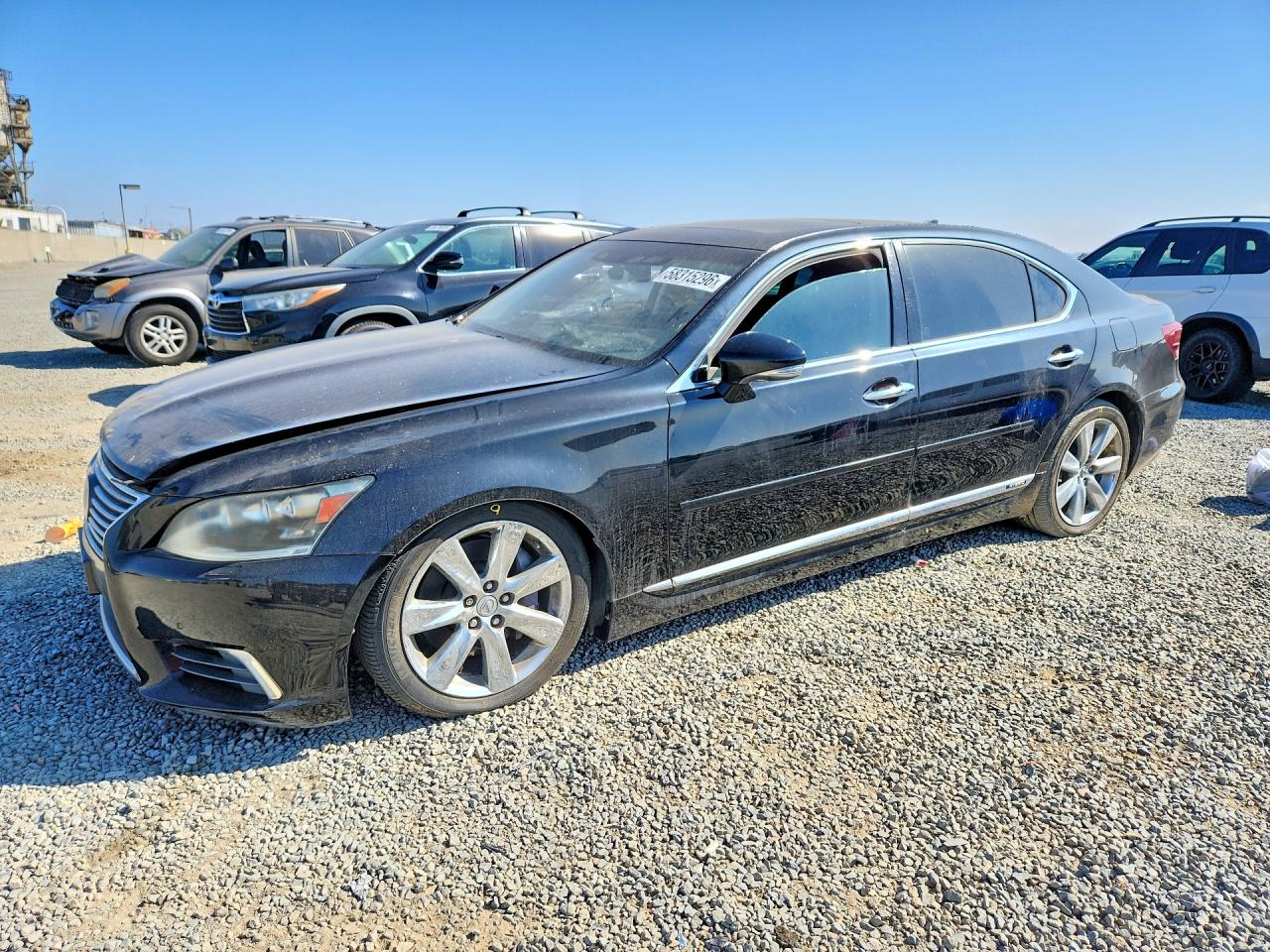 2014 Lexus LS 600h L, VIN JTHDU1EF7E5017587 — Биологическое загрязнение
