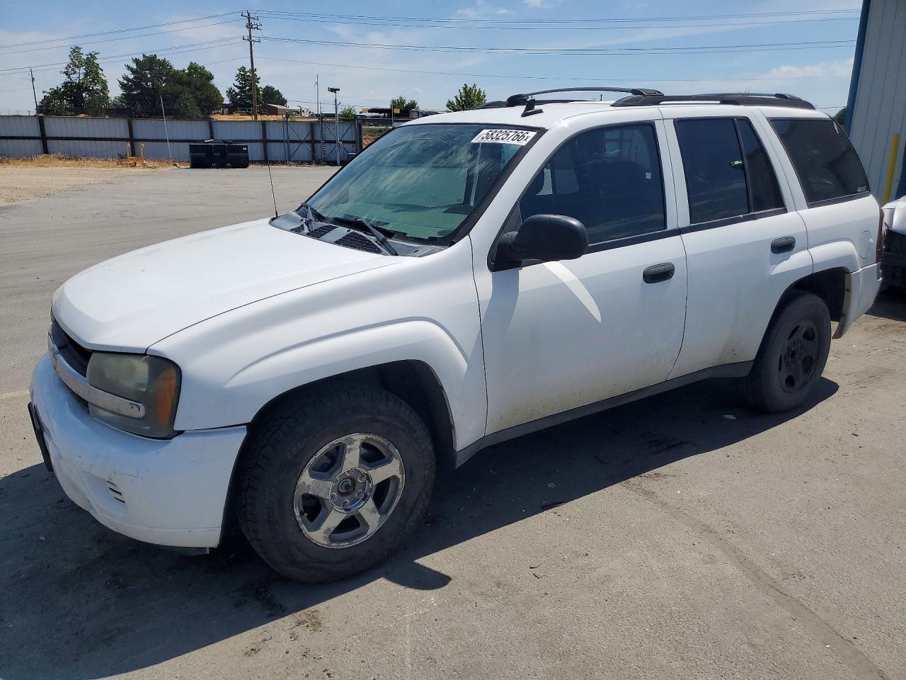 2006 Chevrolet TrailBlazer LT, VIN 1GNDT13S962255357 — Бок