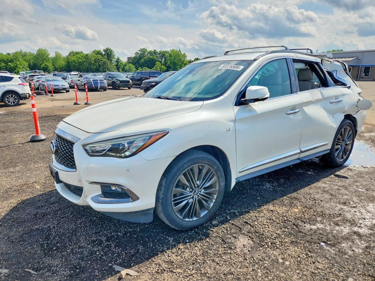 2019 Infiniti QX60 Luxe, VIN 5N1DL0MMXKC515333 — Roof