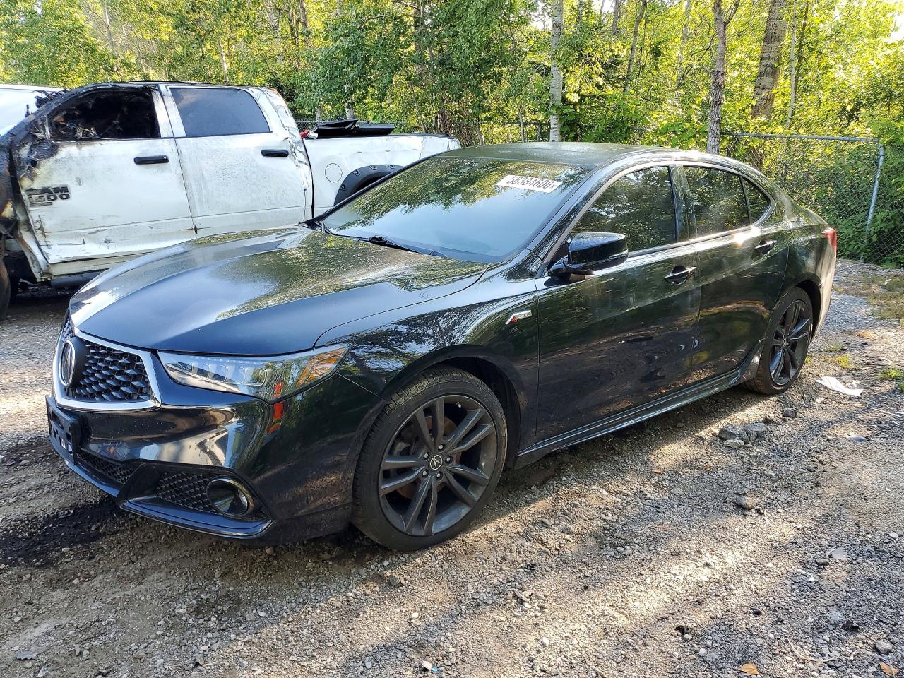 2020 Acura TLX w/A-Spec Pkg, VIN 19UUB3F6XLA801432 — Vandalism