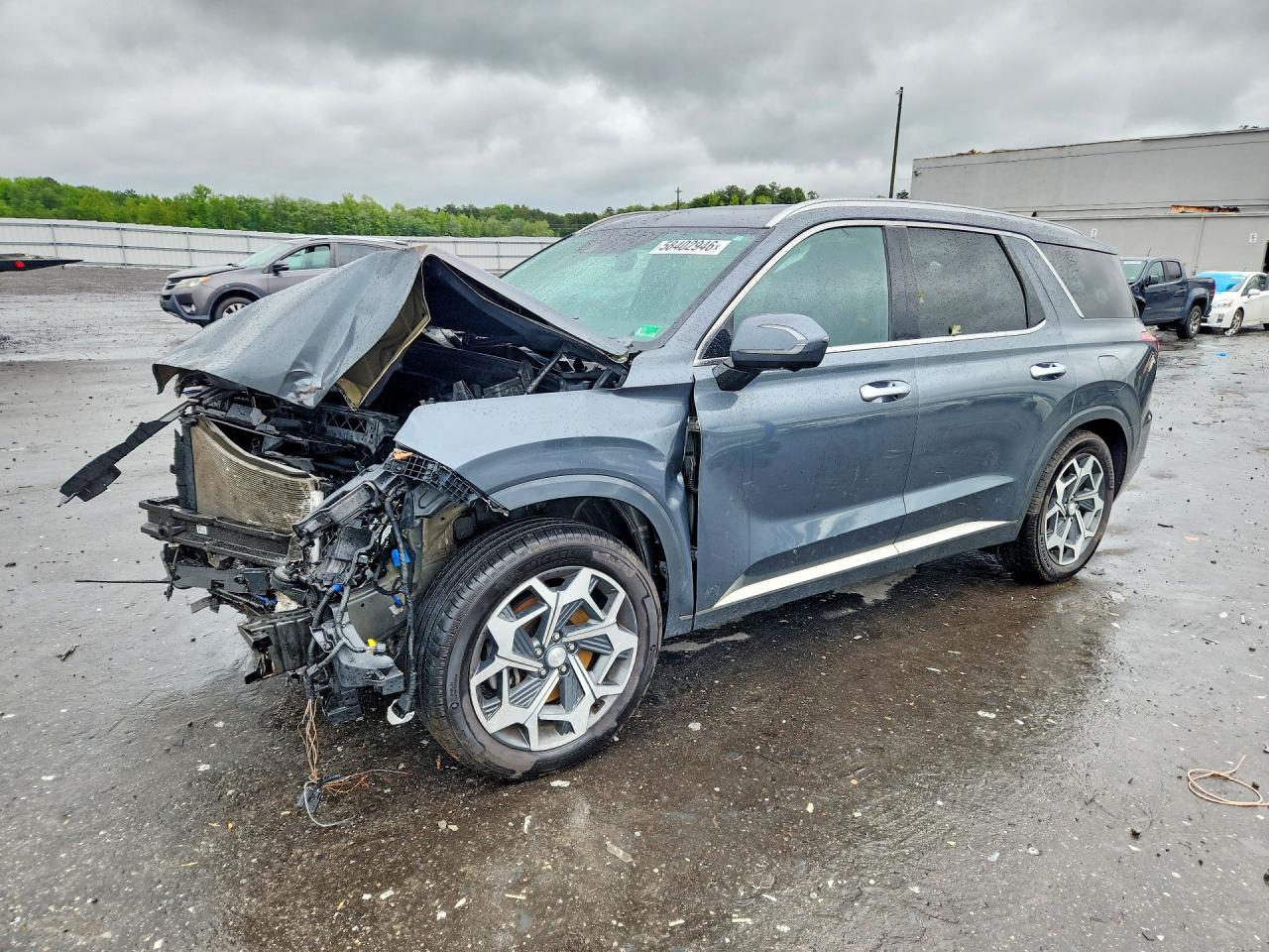 2021 Hyundai Palisade Calligraphy, VIN KM8R7DHE4MU315498 — All over