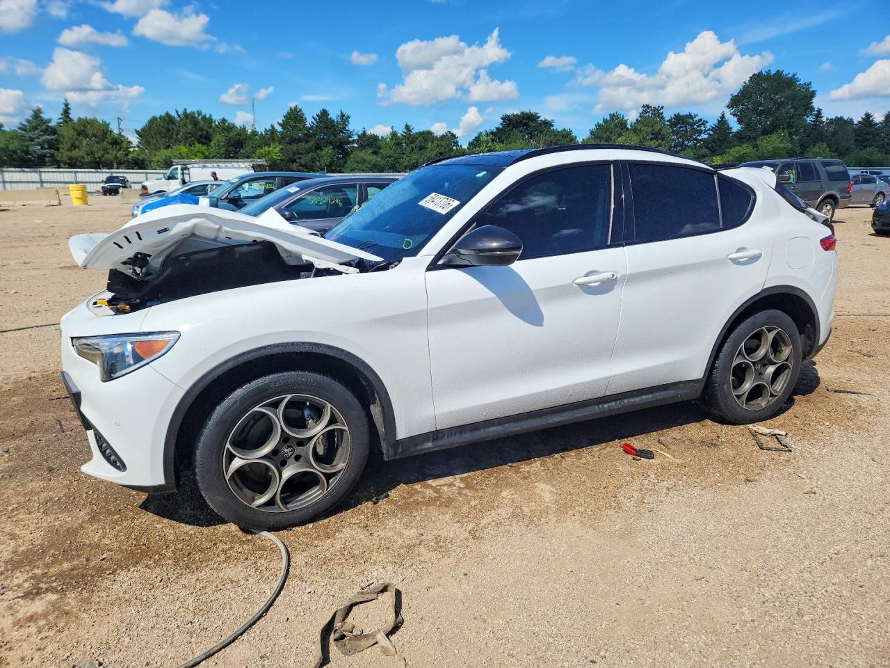 2021 Alfa Romeo Stelvio, VIN ZASPAKAN2M7D01892 — Зад