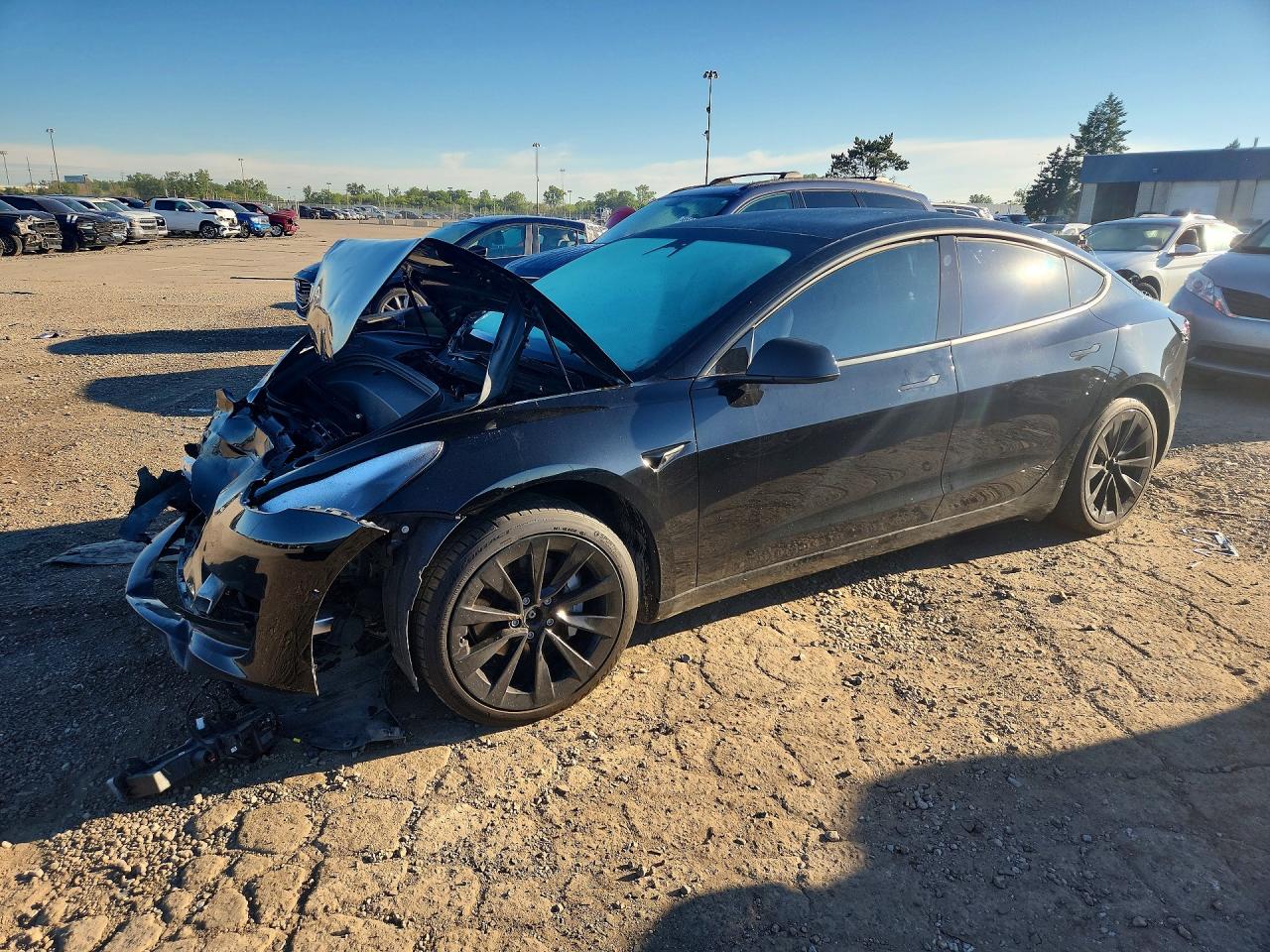 2022 Tesla Model 3 Long Range, VIN 5YJ3E1EB8NF203063 — Перед