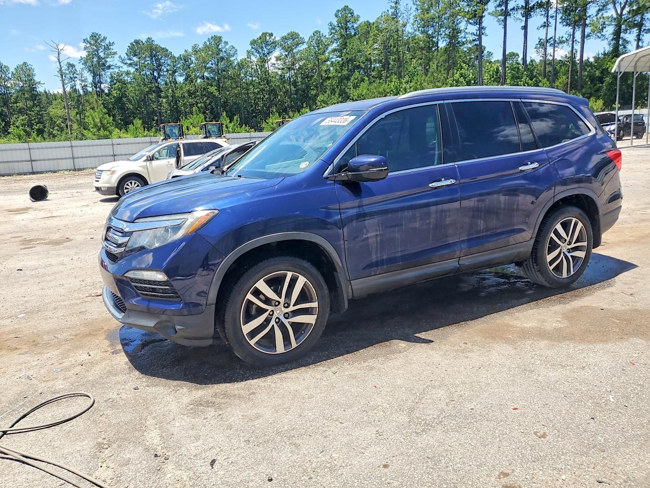 2017 Honda Pilot Touring, VIN 5FNYF5H95HB028519 — Биологическое загрязнение