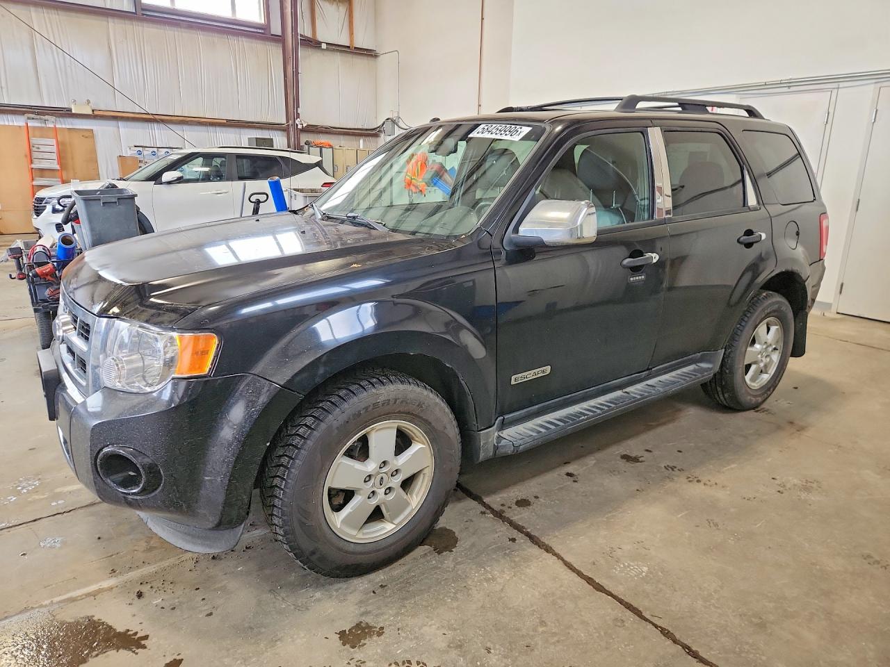2008 Ford Escape XLT, VIN 1FMCU03158KB64944 — Front end