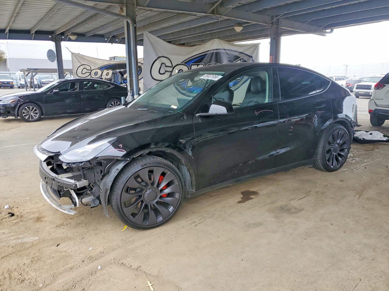 2024 Tesla Model Y Performance, VIN 7SAYGDEFXRF022544 — Side