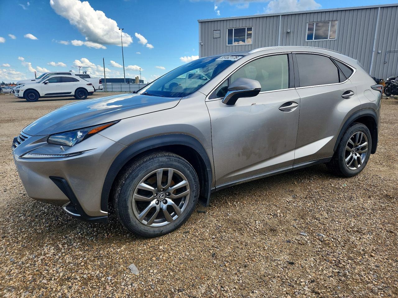 2018 Lexus NX 300 F Sport, VIN JTJBARBZ3J2163587 — Side