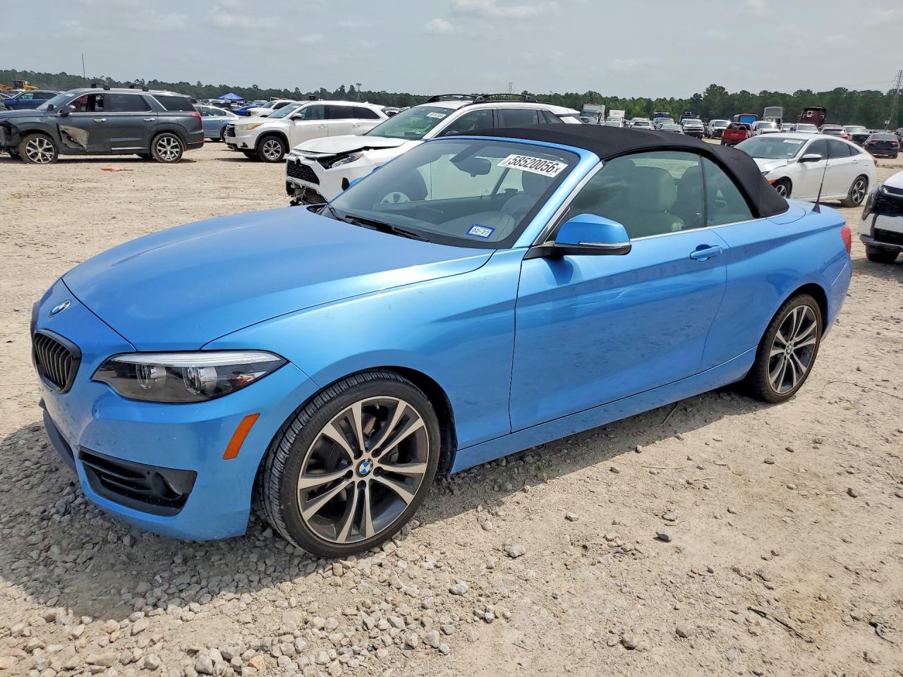 2018 BMW 2 Series 230i, VIN WBA2M7C55JVA97648 — Water / flood