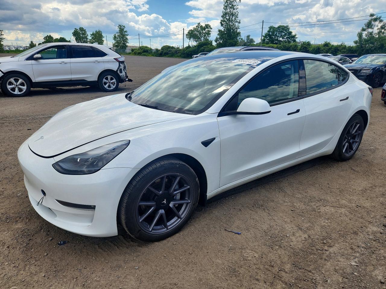 2023 Tesla Model 3, VIN LRW3E1EB2PC850216 — Water / flood