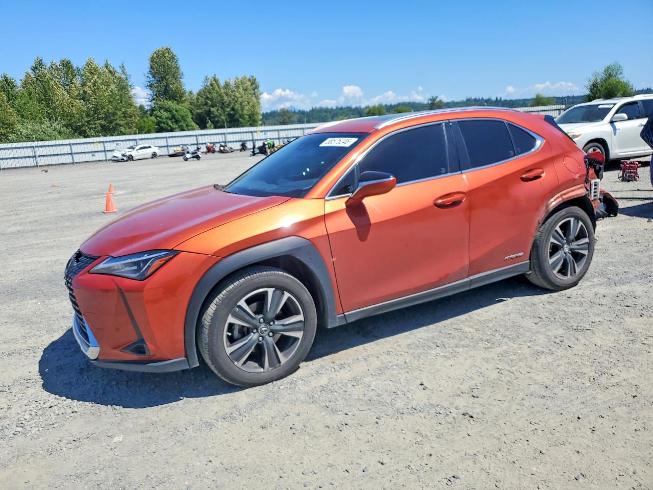 2020 Lexus UX 250h, VIN JTHP9JBH4L2022331 — Зад