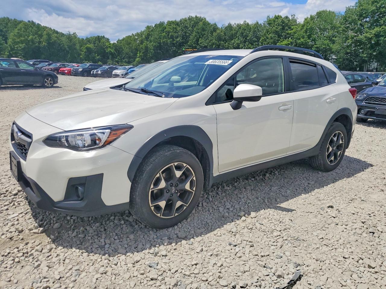 2019 Subaru Crosstrek Premium, VIN JF2GTAEC0KH315322 — Water / flood