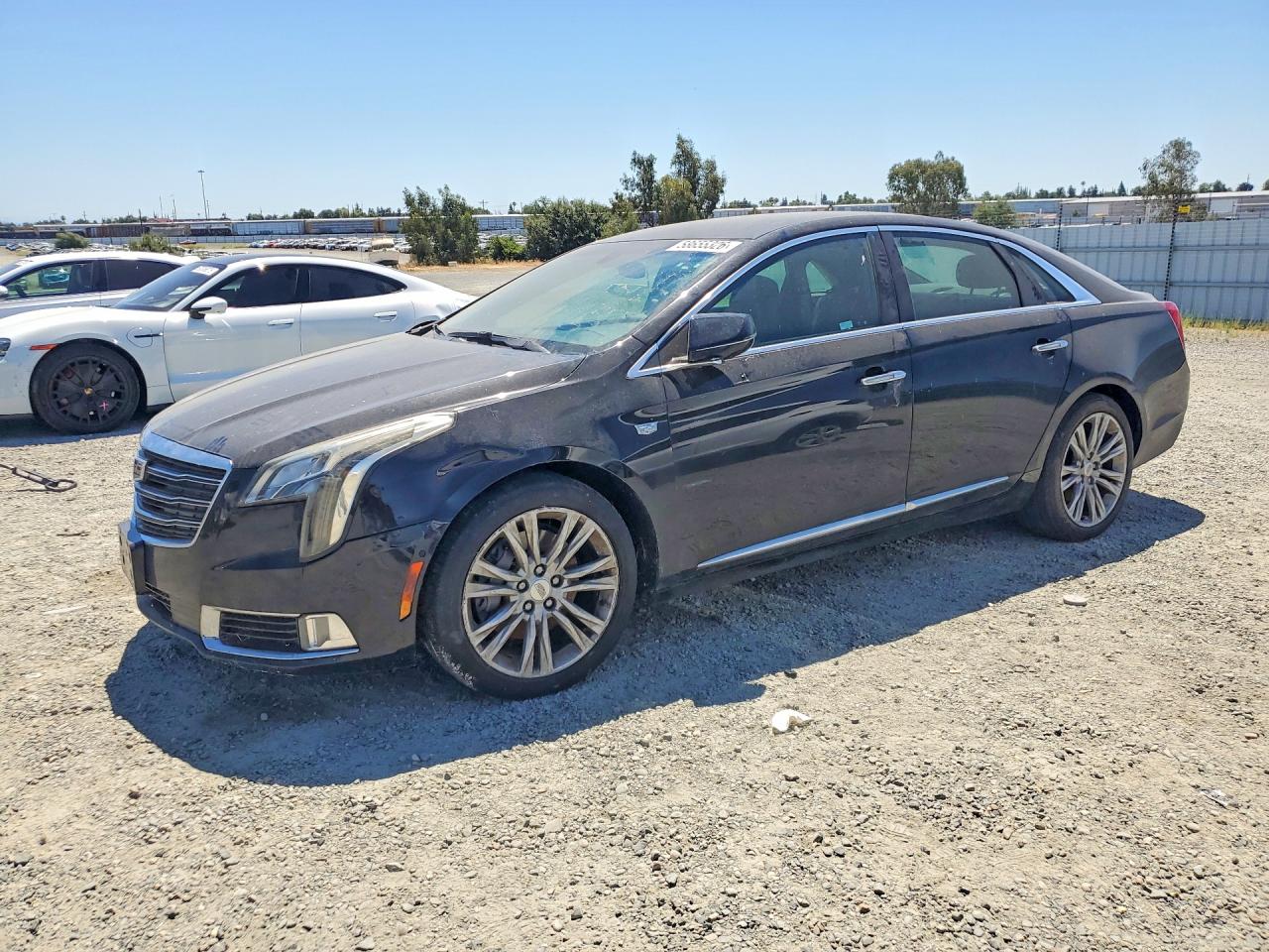 2019 Cadillac XTS Luxury, VIN 2G61M5S3XK9120302 — Rear end
