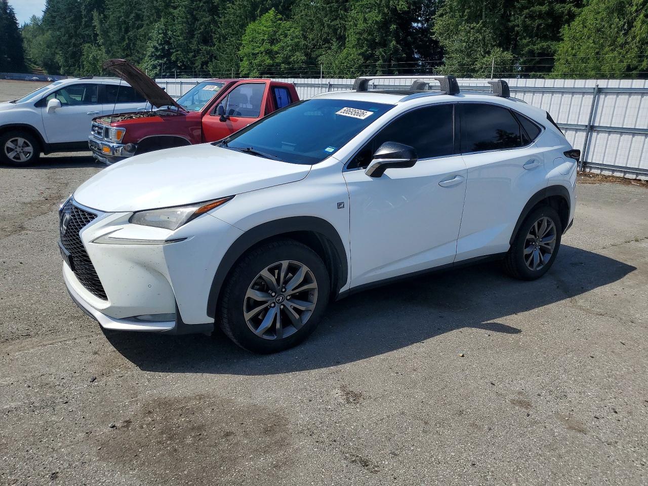 2016 Lexus NX F Sport, VIN JTJYARBZ5G2029831 — Hail