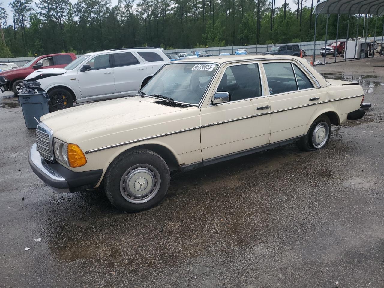 1980 Mercedes-Benz 240, VIN 12312312161809 — Rear end