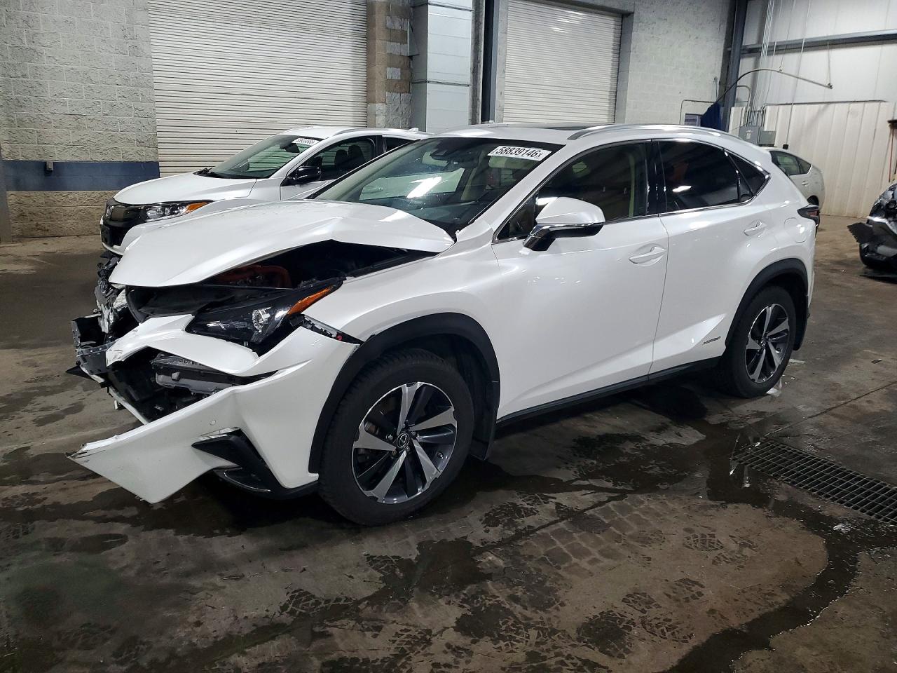 2020 Lexus NX 300h, VIN JTJGJRDZ4L5004145 — Front end