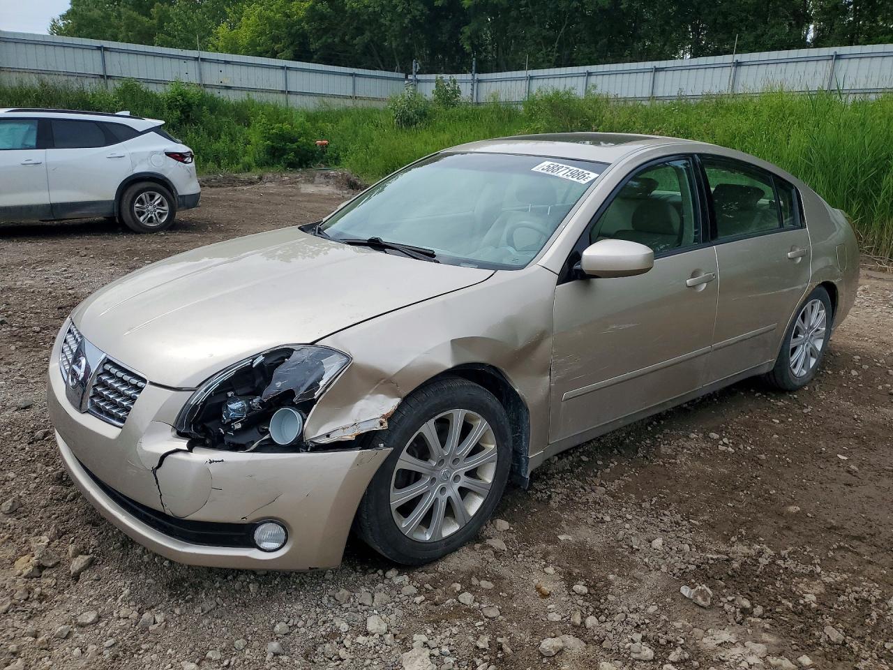 2005 Nissan Maxima SE, VIN 1N4BA41E55C839547 — Перед