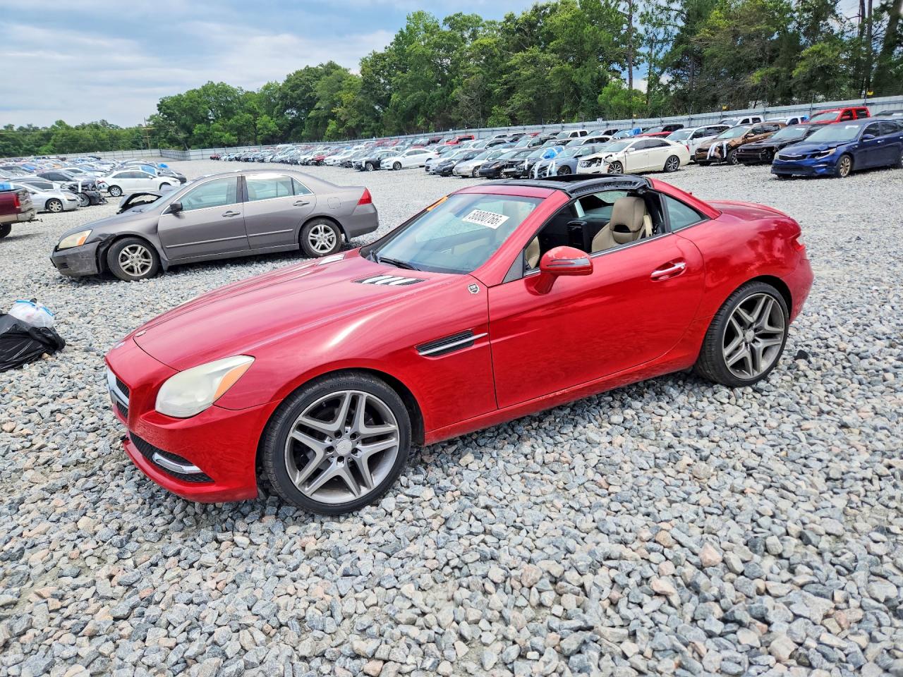 2015 Mercedes-Benz SLK 250, VIN WDDPK4HA6FF104601 — Roof