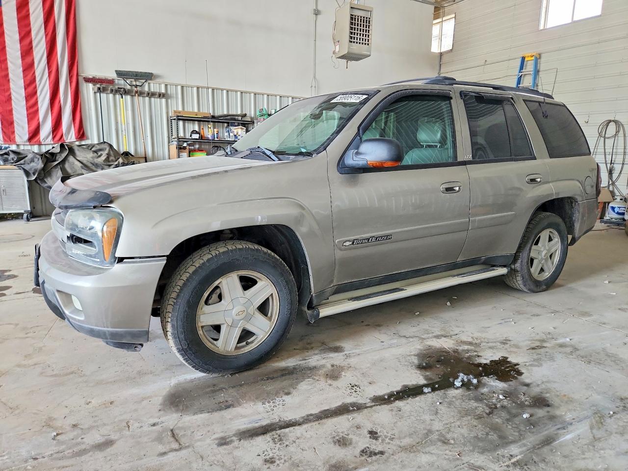 2002 Chevrolet TrailBlazer LS, VIN 1GNDT13S522444582 — Hail