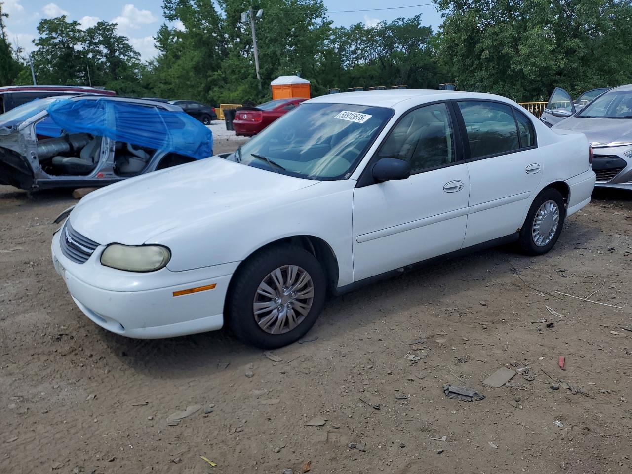 2004 Chevrolet Malibu Classic, VIN 1G1ND52F84M703619 — Front end