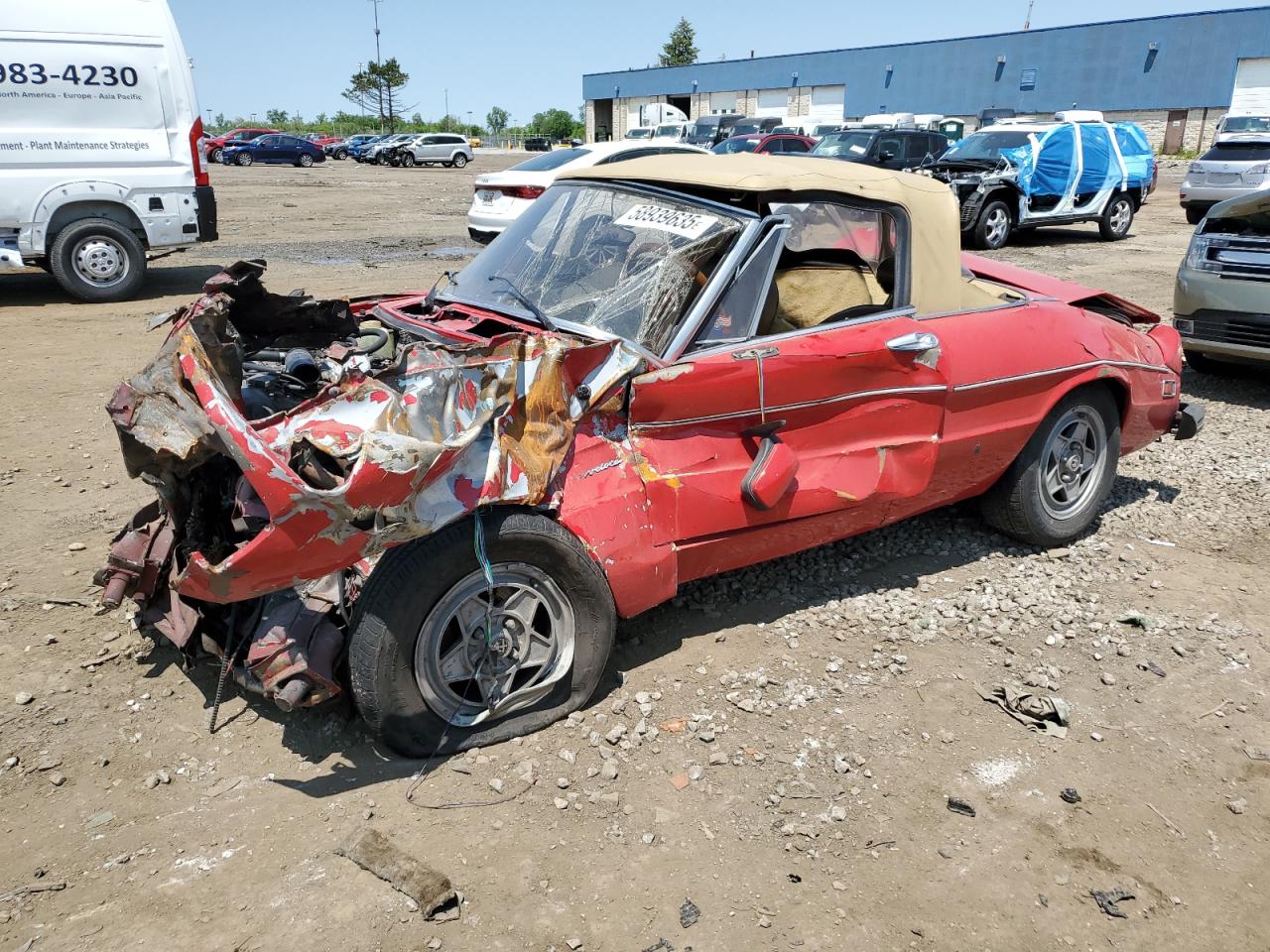 1982 Alfa Romeo Spider Veloce, VIN ZARBA541XC1014224 — All over