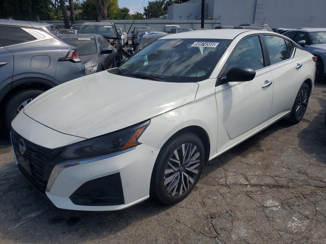 2025 Nissan Altima SV, VIN 1N4BL4DV9SN363776 — Biohazard / chemical