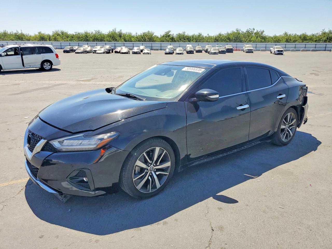 2020 Nissan Maxima SL, VIN 1N4AA6DV0LC375213 — Rear end