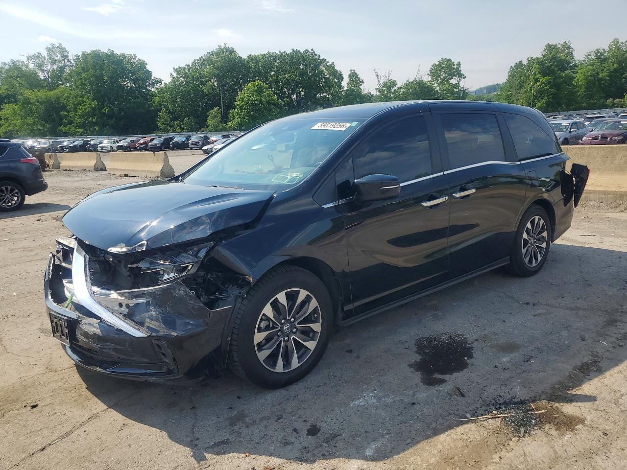 2024 Honda Odyssey EX-L, VIN 5FNRL6H64RB056094 — Front end