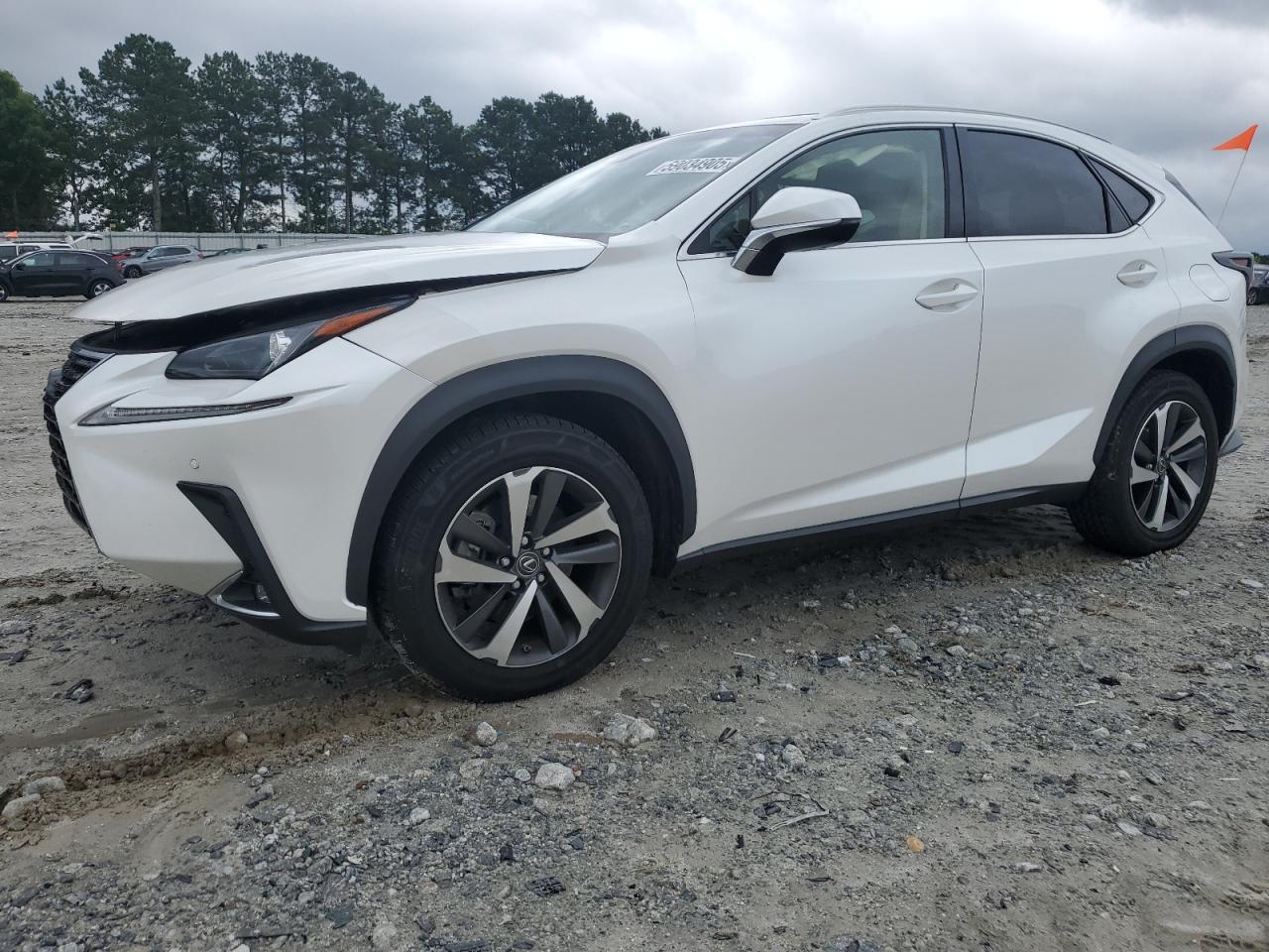 2018 Lexus NX 300, VIN JTJYARBZ0J2099020 — Front end