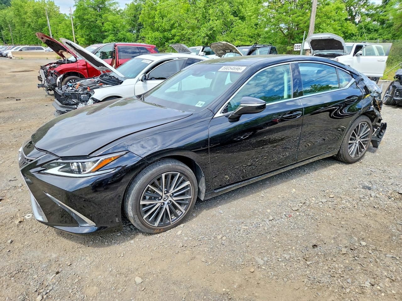 2024 Lexus ES 350, VIN 58ADZ1B18RU171141 — Rear end