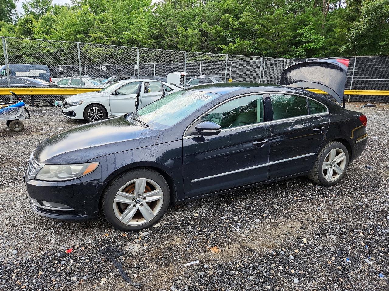2014 Volkswagen CC Sport, VIN WVWBP7AN2EE503093 — Зад