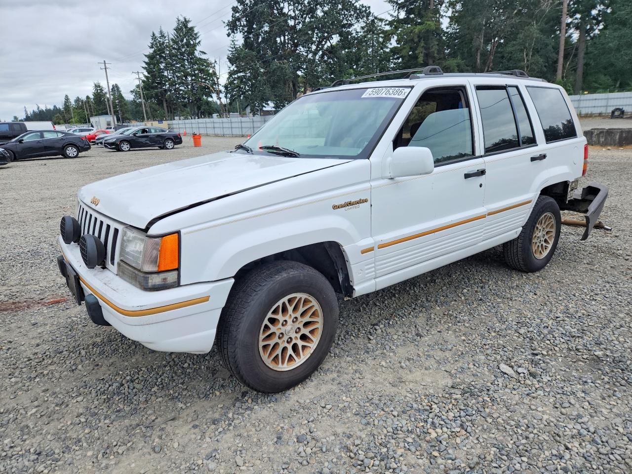 1994 Jeep Grand Cherokee Limited, VIN 1J4GZ78Y4RC225910 — Rear end