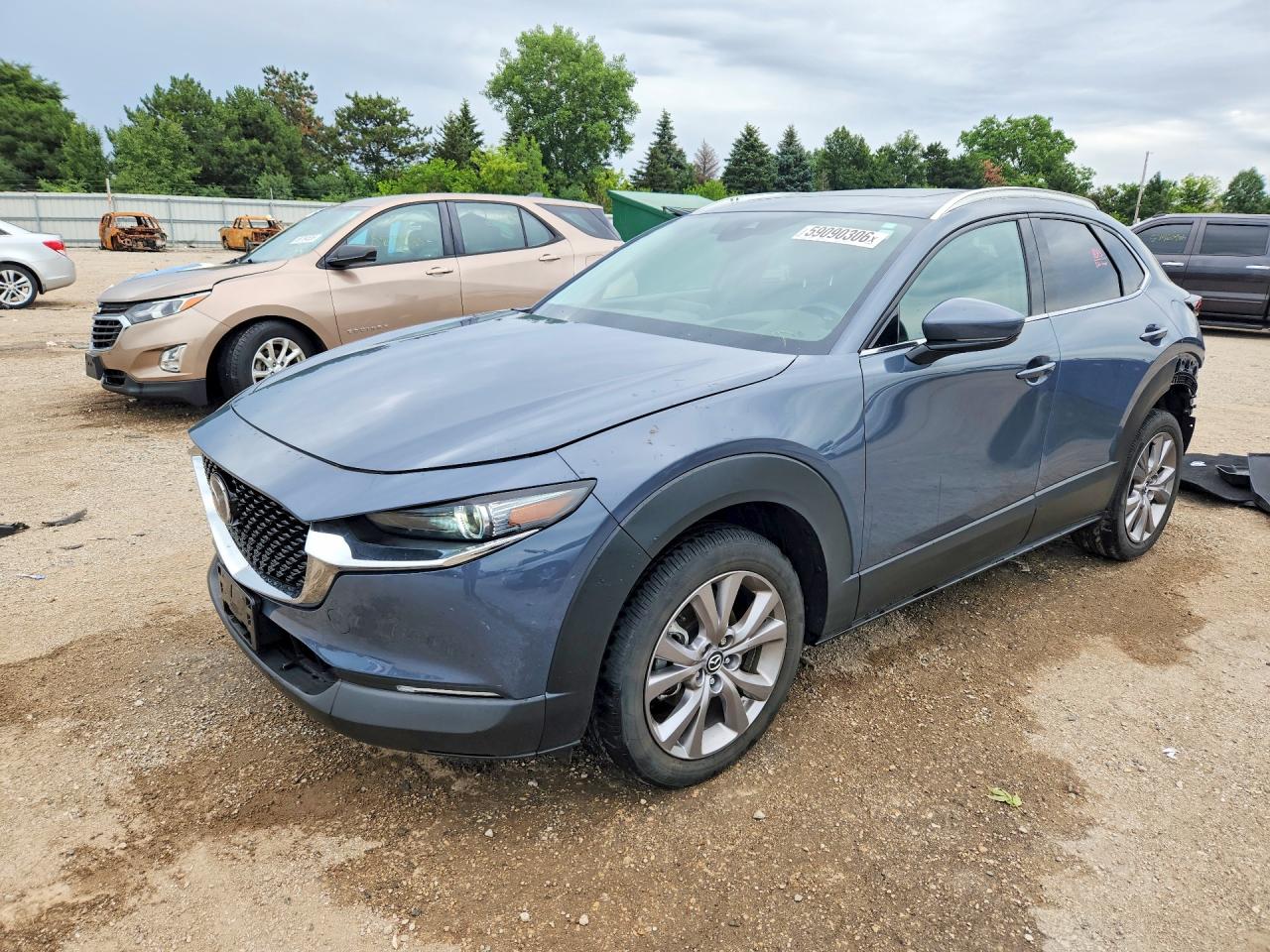 2020 Mazda CX-30 Premium, VIN 3MVDMBEM6LM108961 — Зад