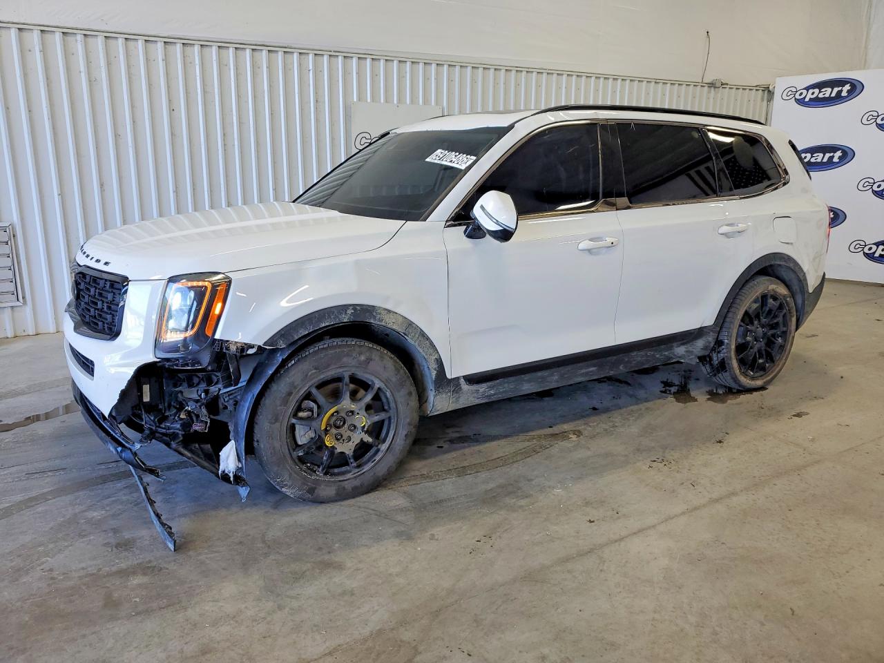 2021 Kia Telluride SX, VIN 5XYP5DHC2MG098096 — Front end