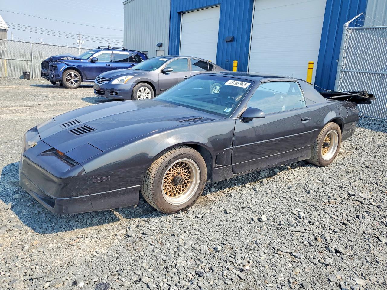 1988 Pontiac Firebird, VIN 1G2FW21F5JL211139 — Rear end