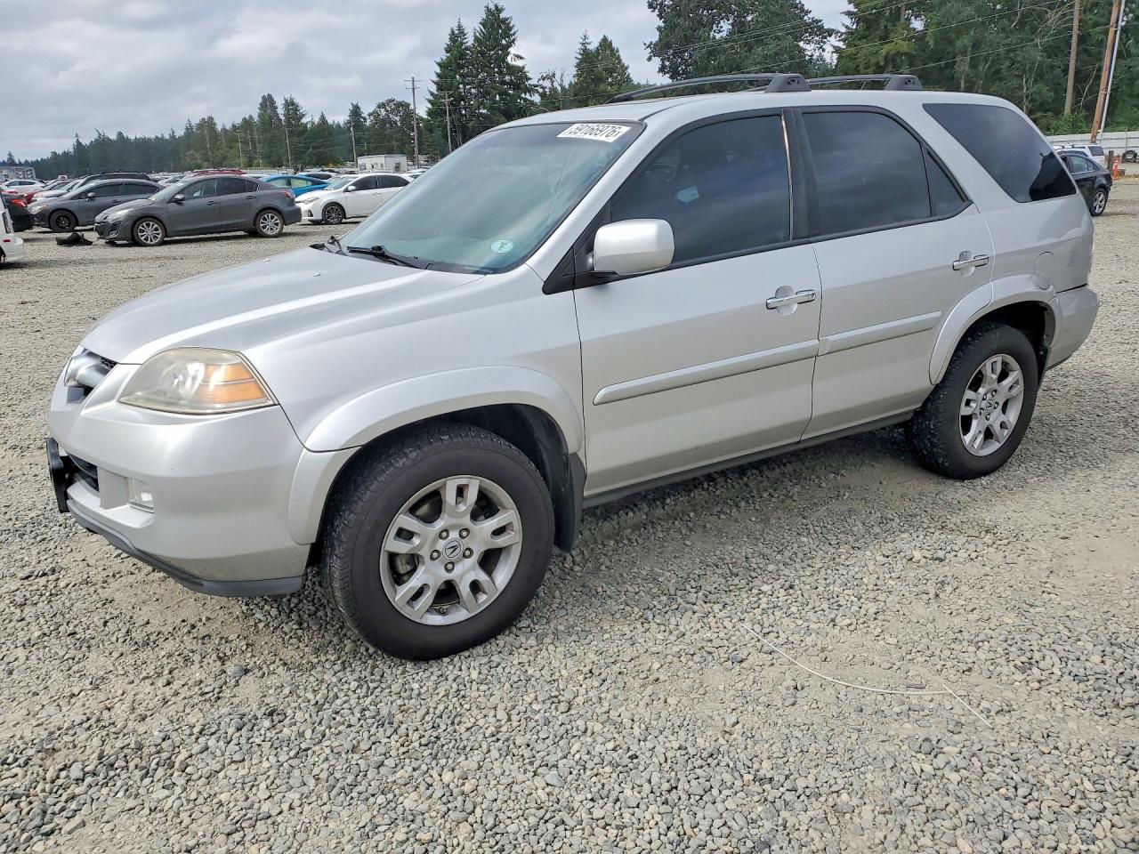 2005 Acura MDX Touring, VIN 2HNYD188X5H554859 — Зад