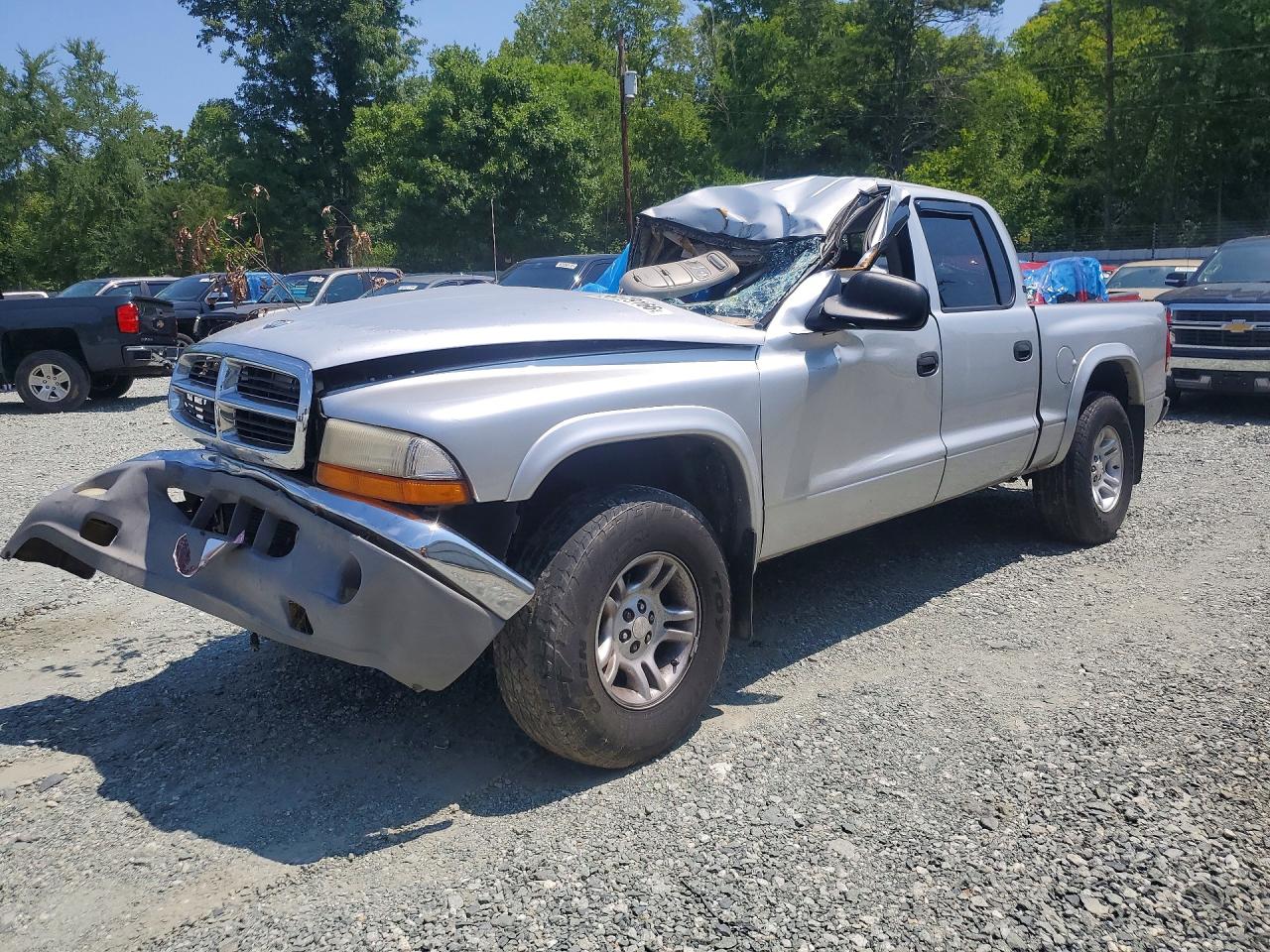 2001 Dodge Dakota Sport, VIN 1B7GG2AN11S173418 — По всему кузову
