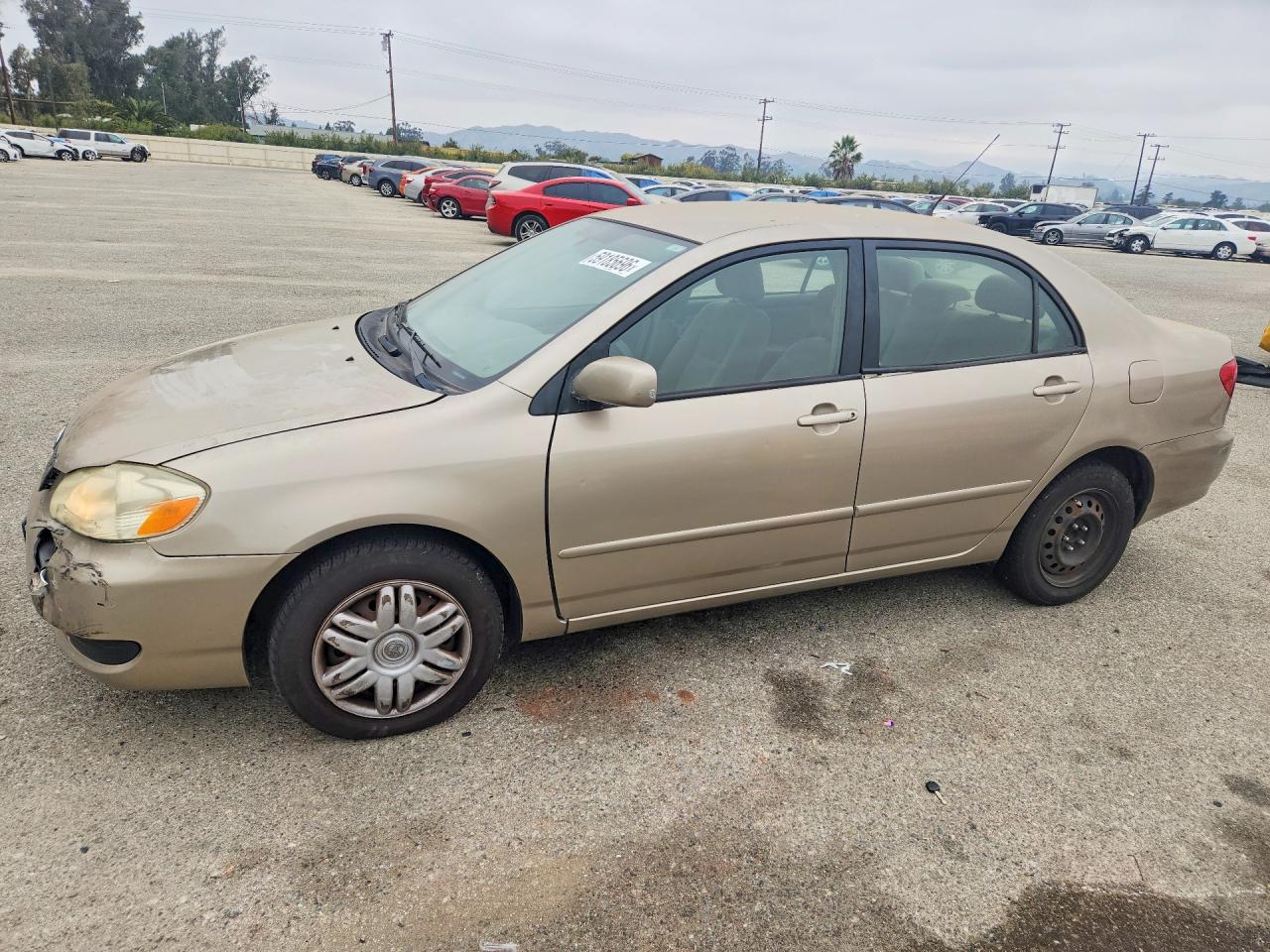 2006 Toyota Corolla LE, VIN 1NXBR32E76Z671378 — Front end