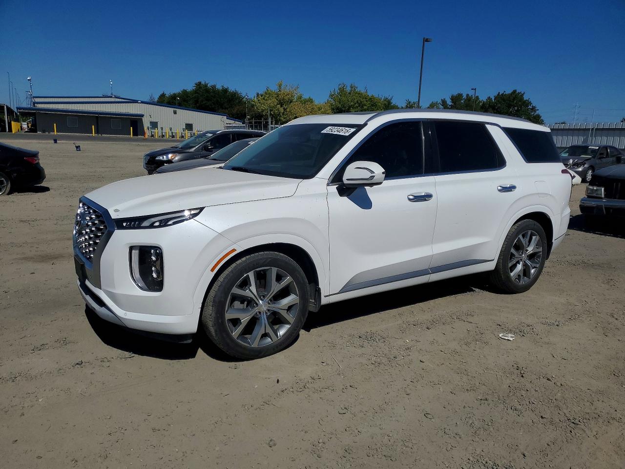 2021 Hyundai Palisade Limited, VIN KM8R5DHEXMU192442 — Side