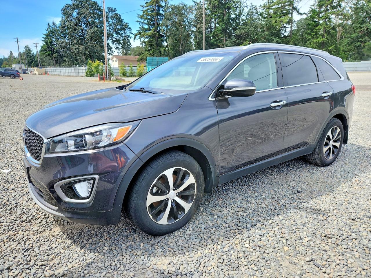 2016 Kia Sorento EX, VIN 5XYPH4A59GG156633 — Minor dents and scratches