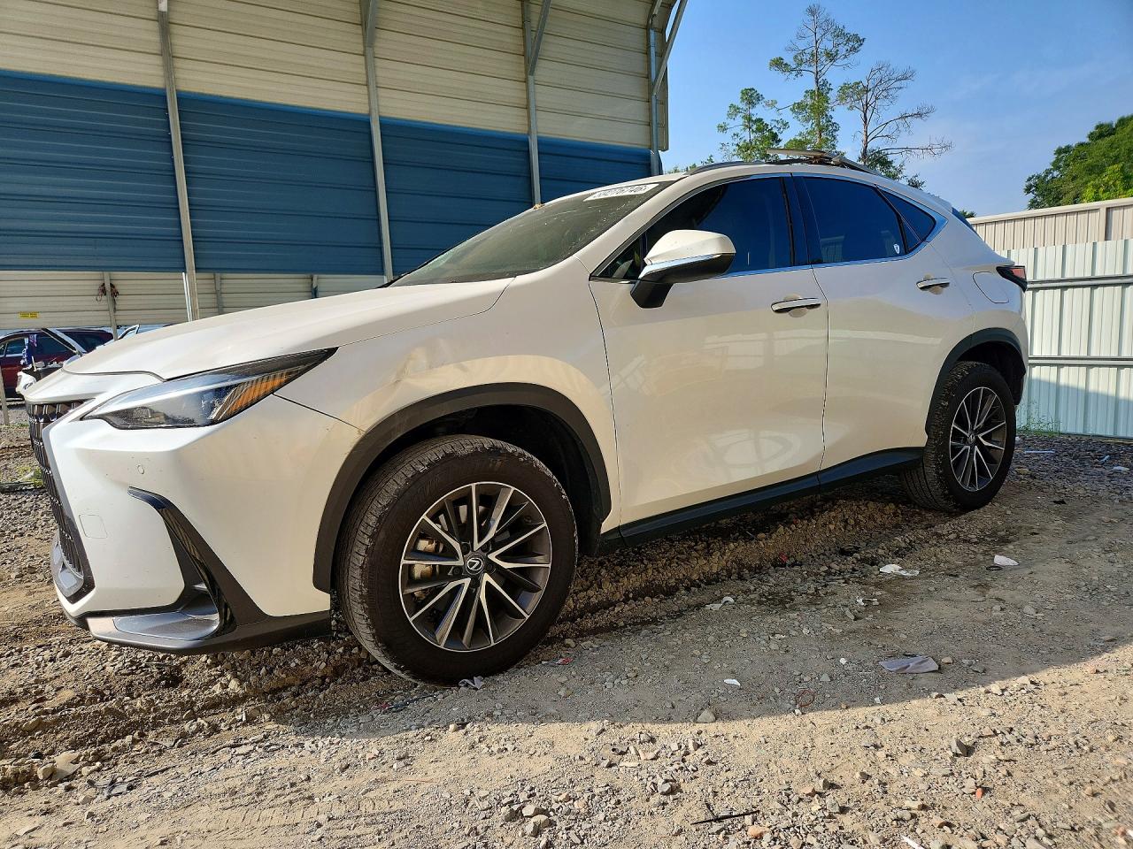 2025 Lexus NX 350 Premium, VIN 2T2GGCEZ8SC077254 — Roof