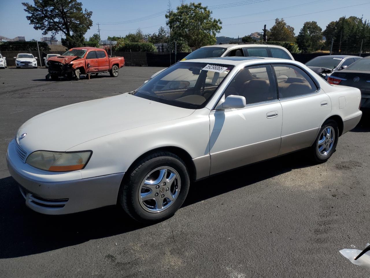 1993 Lexus ES 300, VIN JT8VK13T3P0220771 — Мелкие вмятины и царапины