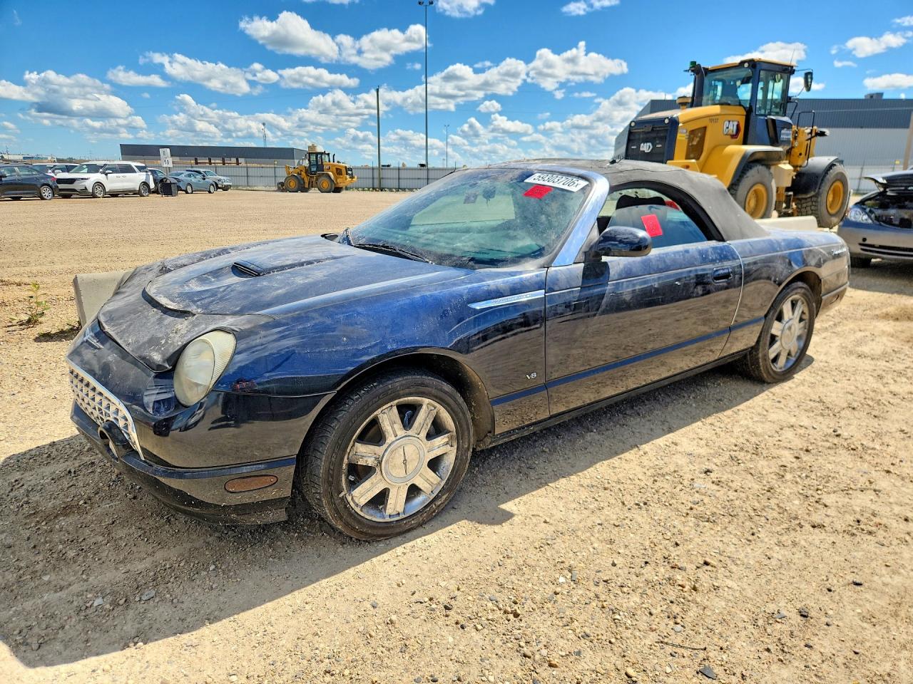 2004 Ford Thunderbird Deluxe, VIN 1FAHP60A94Y102503 — Пожар