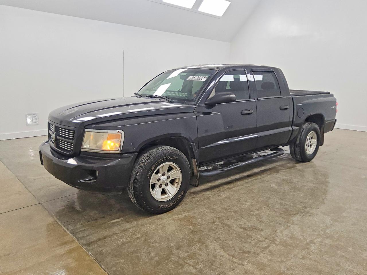 2010 Dodge Dakota SXT, VIN 1D7CW3GK7AS222891 — Мелкие вмятины и царапины