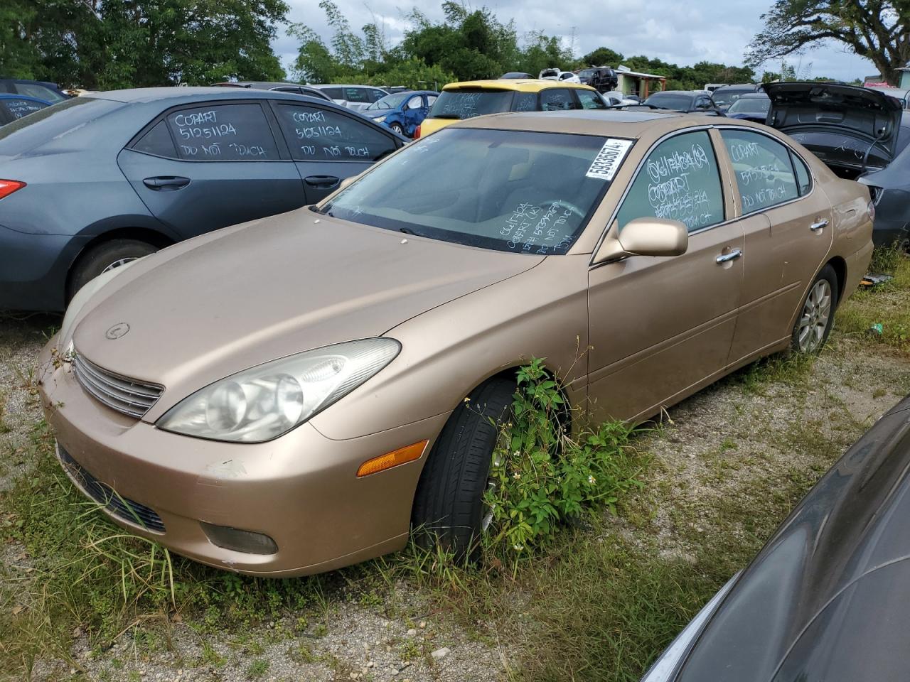 2004 Lexus ES 350, VIN JTHBA30G245040222 — Vandalism