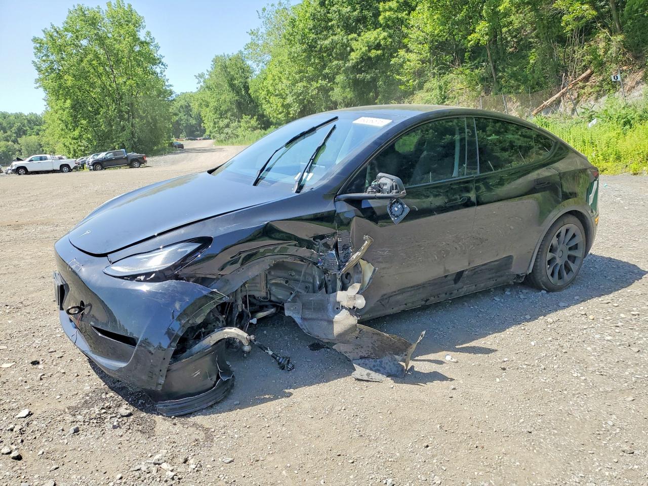 2024 Tesla Model Y Long Range, VIN 7SAYGDEE0RA215063 — Front end