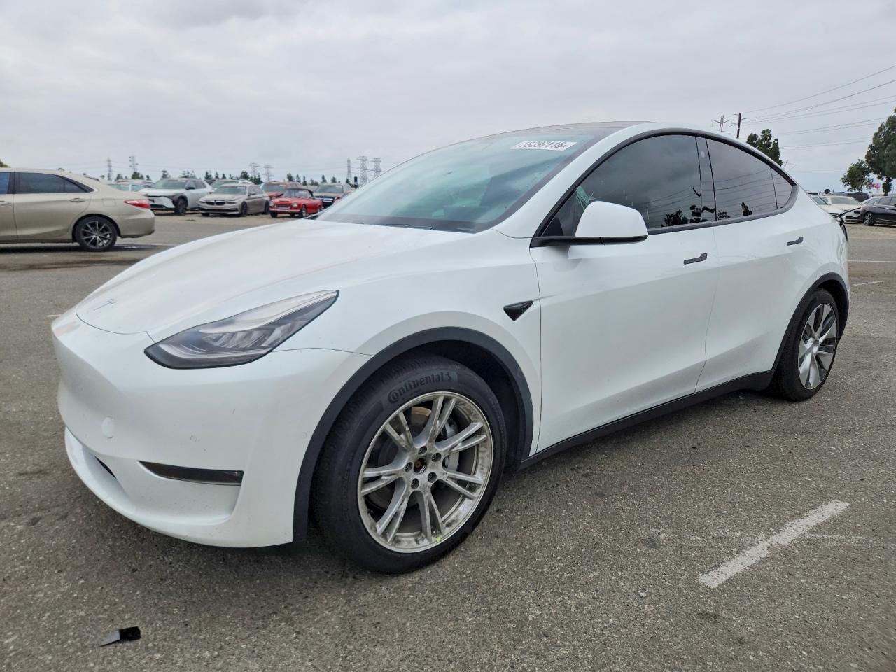 2021 Tesla Model Y Long Range, VIN 5YJYGDEE9MF072784 — Side