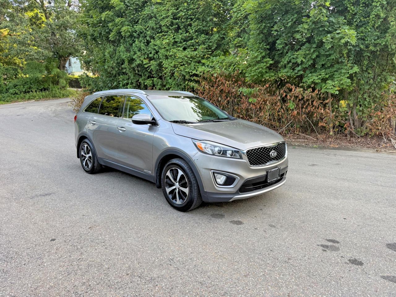 2016 Kia Sorento EX, VIN 5XYPHDA53GG004895 — Обычный износ